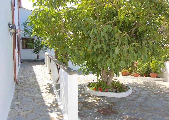 Apartament Charming With Terrace In Silos - 40 M² Los Silos